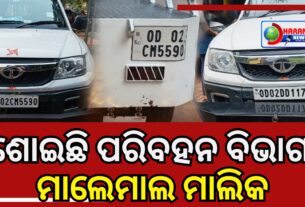 Who gave permission to do business in private vehicles - owner Malemal