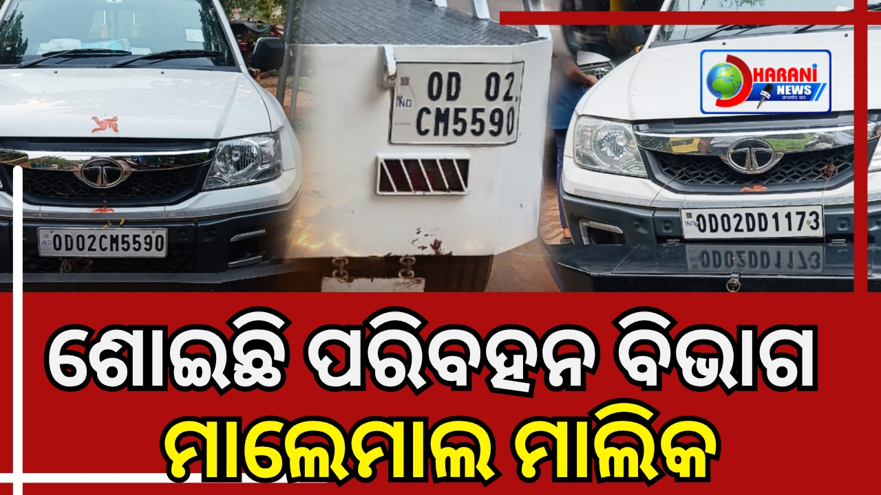 Who gave permission to do business in private vehicles - owner Malemal